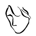 umlicht 프로필 사진