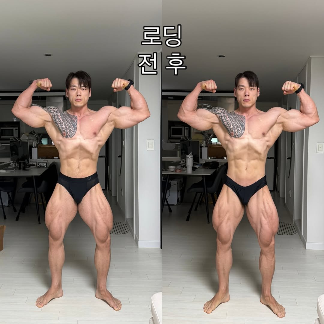 donutman_jw 게시물 이미지: #밴딩로딩 B&A

무식할만큼 열심히 하는 것은 당연한거고.
운동은 제대로...