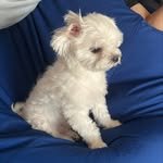 jwon52._ 프로필 사진