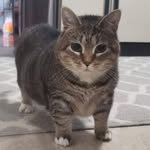 dopamine.meow 인스타그램 프로필 사진