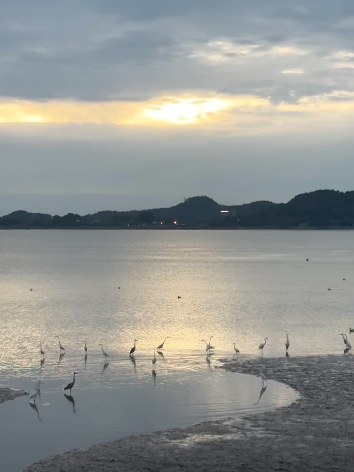 dosi_explorer 게시물 이미지: 아직 탐험할 곳이 이렇게도 많아-

공간을 경험하고 기록하는 건 제 일이자 습관이라...