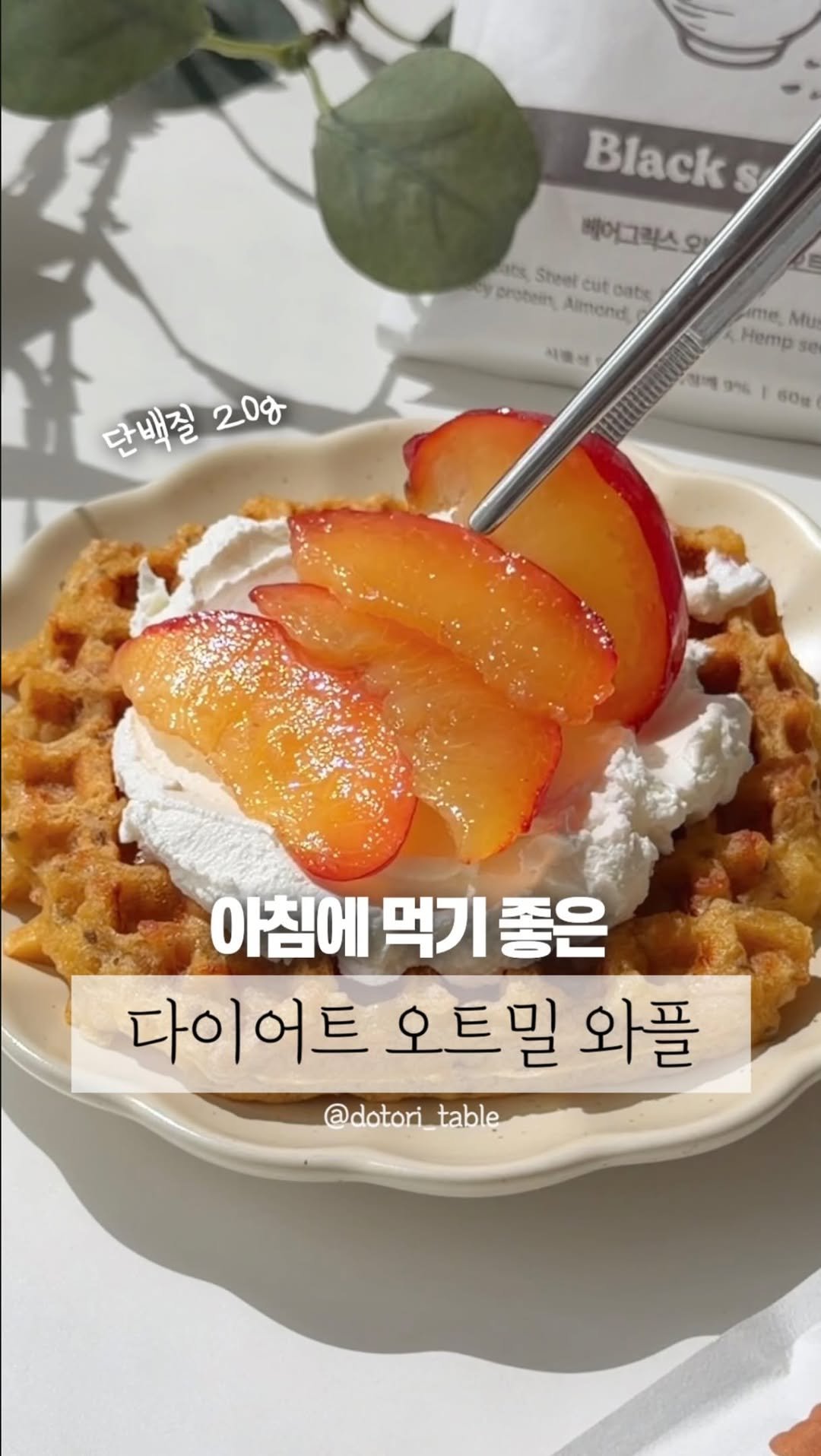 dotori_table 게시물 이미지: 아침에 먹기 좋은 다이어트 오트밀 와플 🧇
✨내일 6/29(월) 무료 맛보기 이벤트...