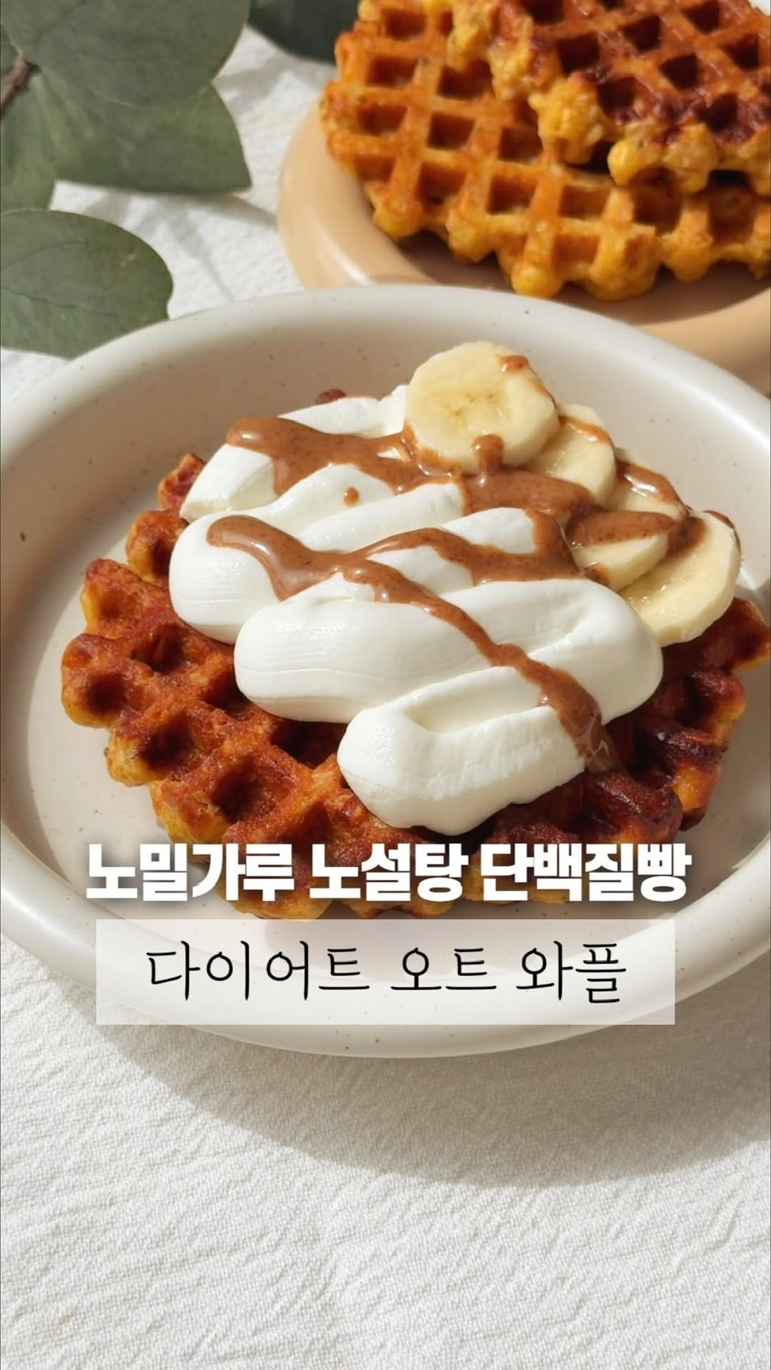 dotori_table 게시물 이미지: 오버나이트 오트밀로 다이어트 단백질 와플 🧇

#오나오 단백질 빵에 이어
와플...