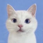 dani.class 프로필 사진