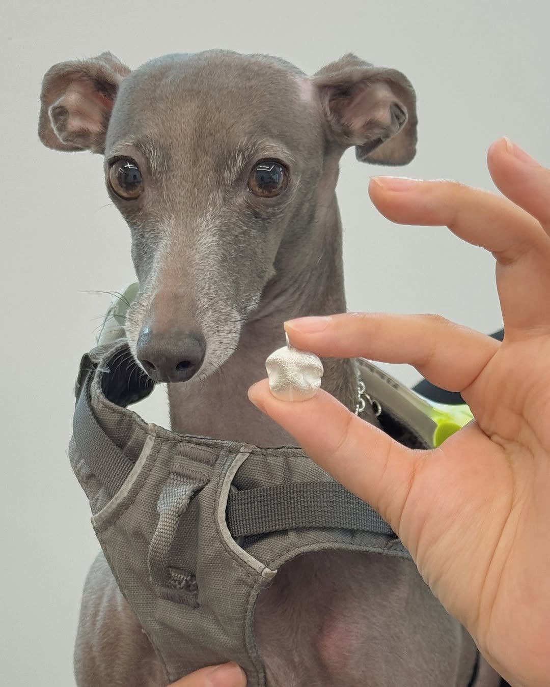 Photo by 도우클래스(반지만들기 |은점토공방 |원데이클래스 |홍대공방 |반지공방) on September 06, 2025.