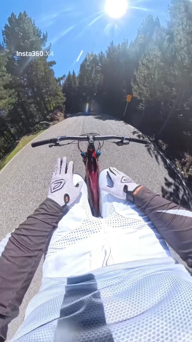 downhill24h 게시물 이미지: Best time of the year ! Mint dirt , perfect...