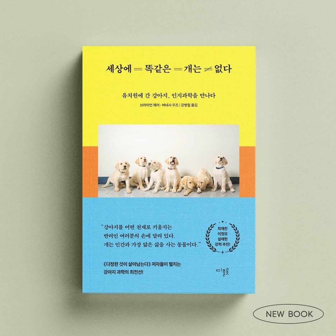 Photo by 디플롯 on August 11, 2025.