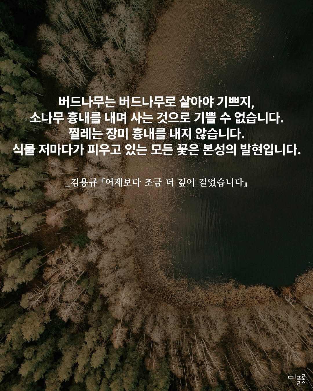 Photo by 디플롯 on December 21, 2025. May be an image of text that says '버드나무는 버드나무로 살아야 기! 기쁘지, 소나무 흉내를 내며 사는 것으로 기쁠 수 없습니다. 찔레는 장미 흉내를 내지 않습니다. 식물 저마다가 피우고 있는 모든 꽃은 본성의 발현입니다. _김용규 「어제보다 조금 더 깊이 걸었습니다』 디 티플롯 글즈'.