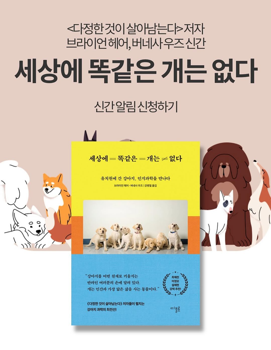 Photo by 디플롯 on August 06, 2025. May be an image of text.