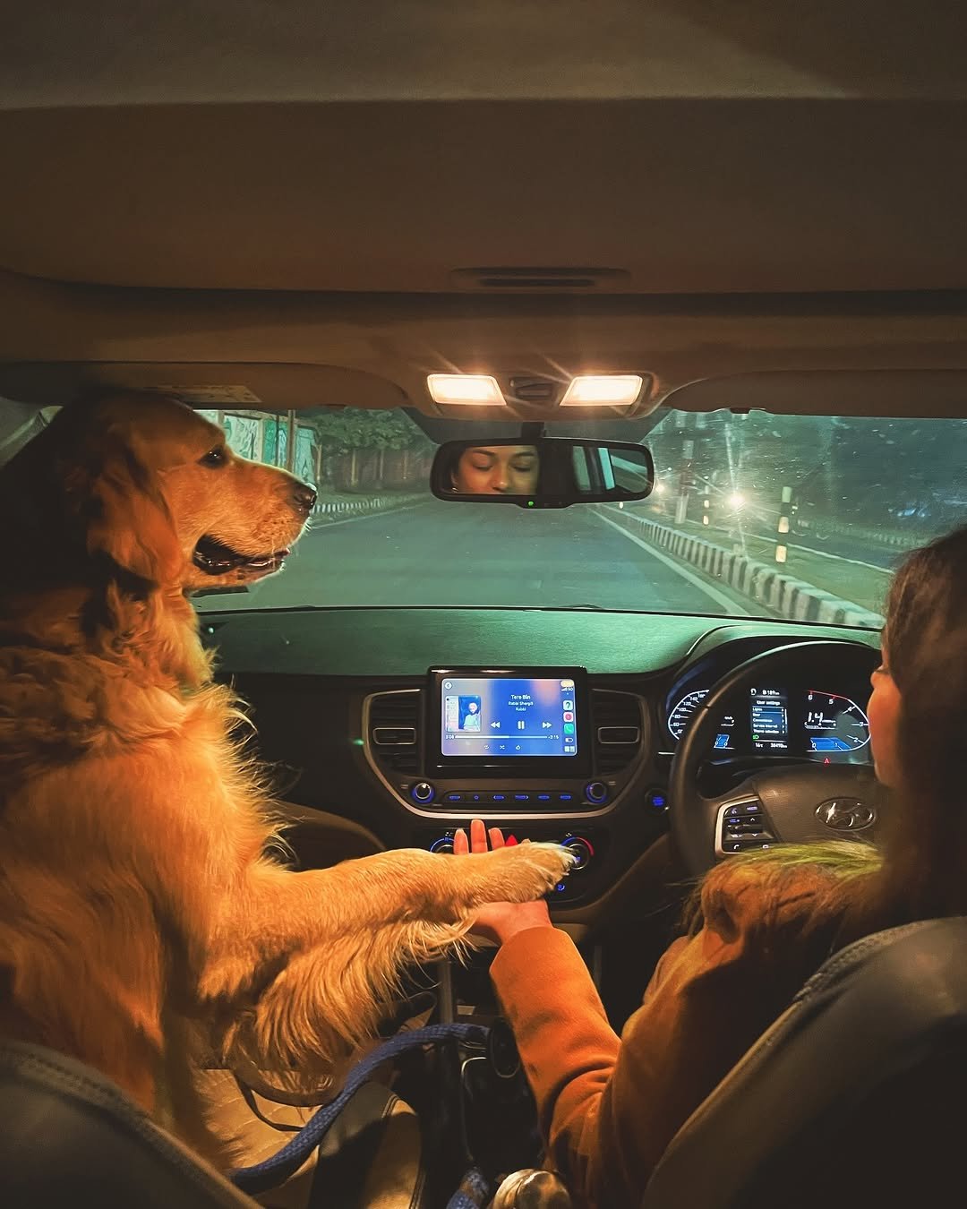 dr_nikita177 게시물 이미지: Tere bin sanu soneya by @rabbishergill was...
