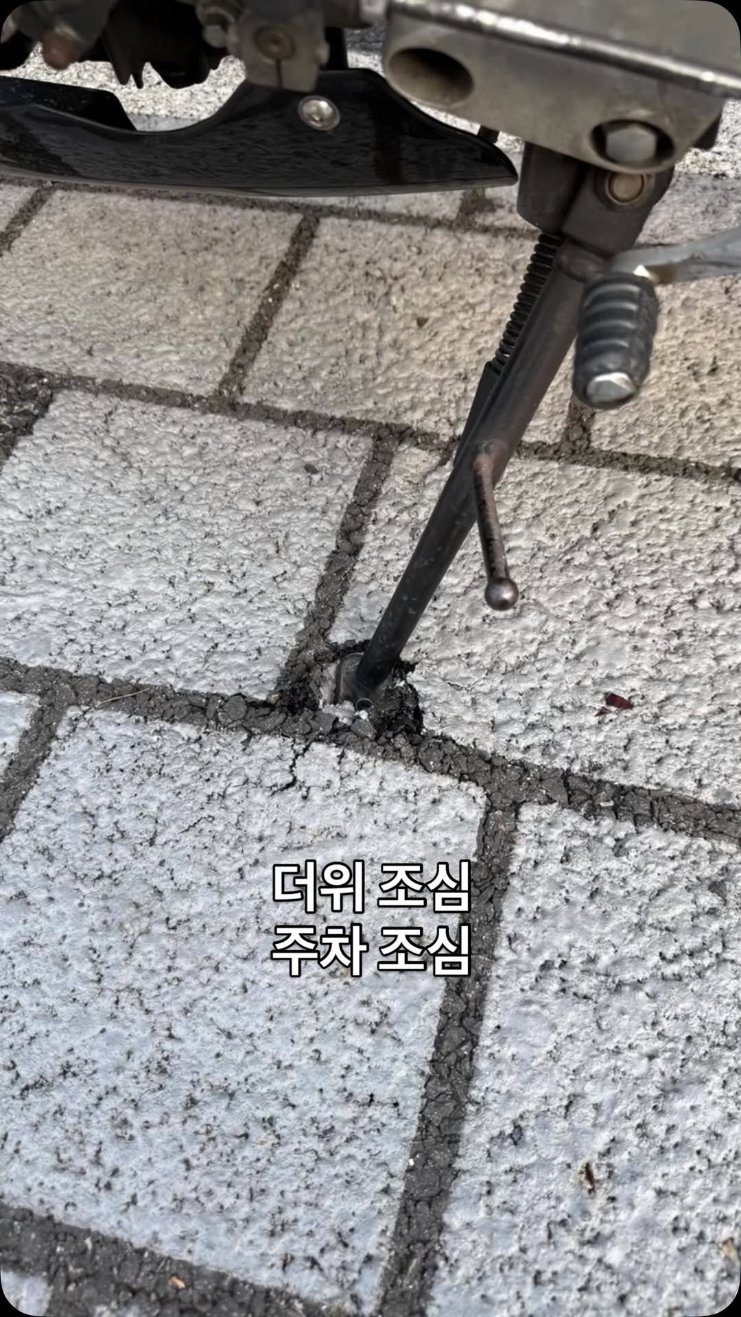 dragonmotors 게시물 이미지: 