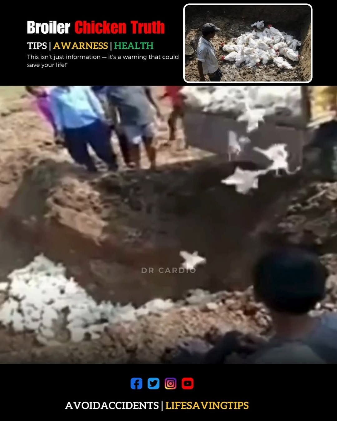 drcardio42 게시물 이미지: Boiler Chicken Truth

Disclaimer: The...