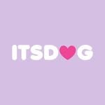 itsdog_korea 프로필 사진