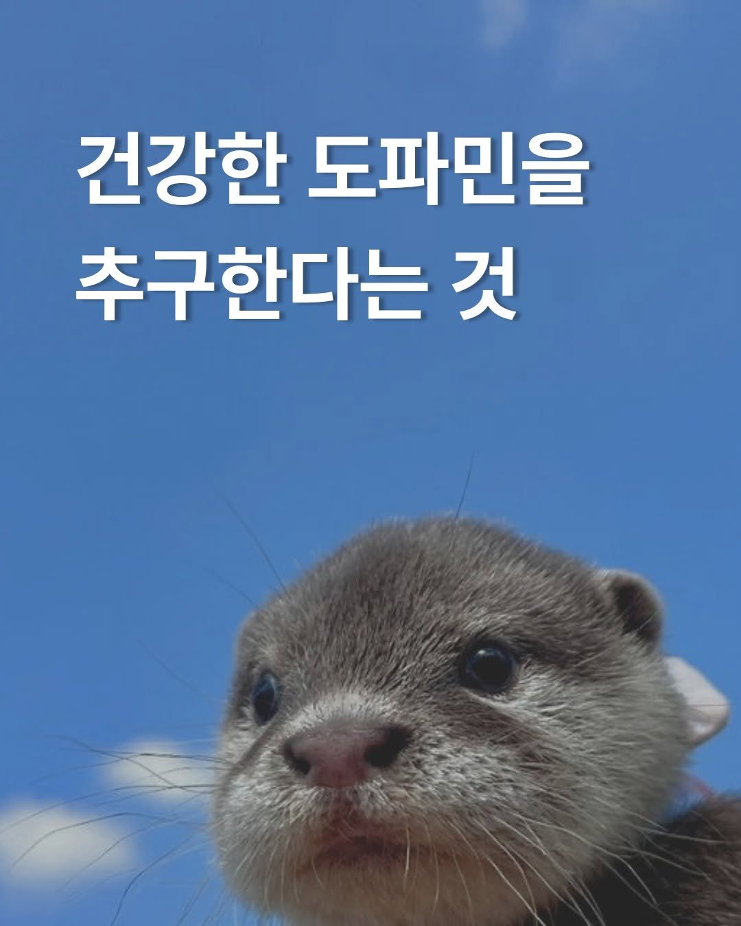 dreamseller_book 게시물 이미지: 🤸

오늘은 건강한 도파민을 
추구해보는 것은 어떨까요?

《완벽하지 않아도 계속...