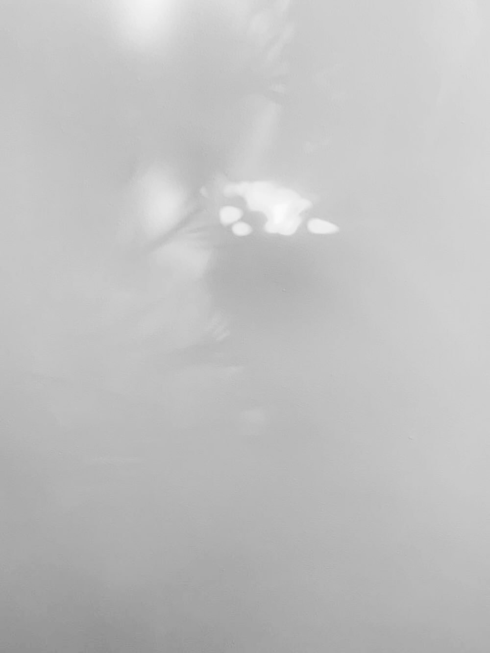 Photo by 위룸 Oui room l  돌드레스 돌드레스대여 돌잔치드레스 돌정장 돌수트 화동드레스 주니어드레스 on March 20, 2026. May be a black-and-white image of text.