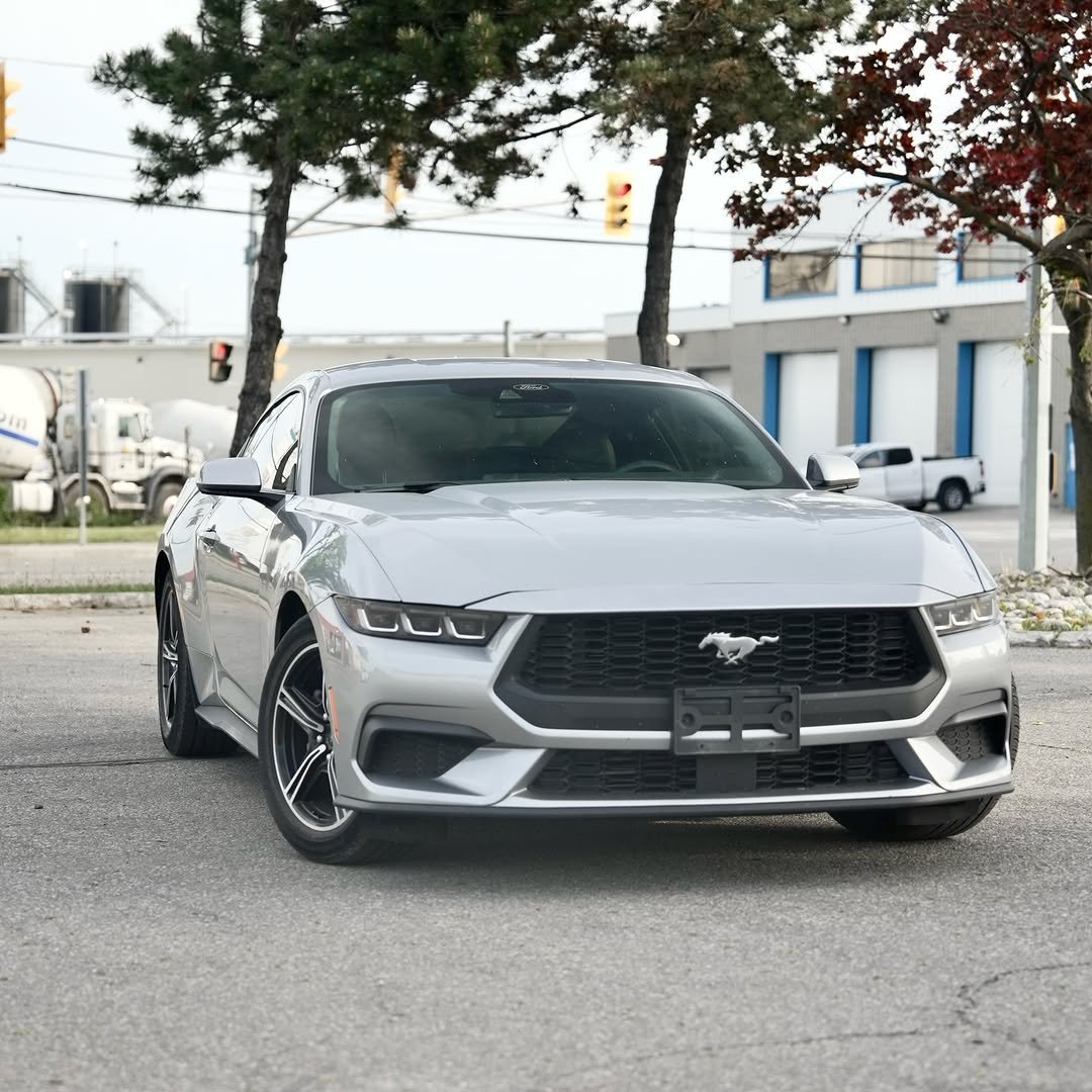 driftmotors.ca 게시물 이미지: 2024 Ford Mustang Eco Premium 🔥
$255 bi-weekly...