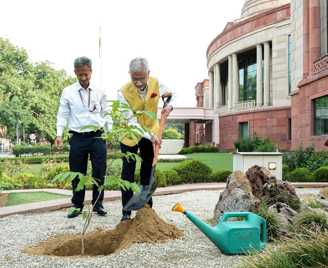 drs.jaishankar 게시물 이미지: Planted Amaltas (अमलतास), Gulmohar (गुलमोहर),...