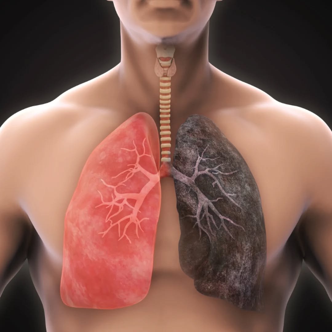 Photo by Drx sonu 🤩 on November 28, 2025. May be an image of text.