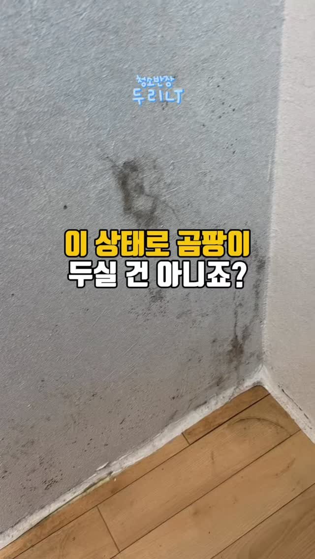 du_ri_nee 게시물 이미지: 이 상태로 곰팡이 두실건 아니죠?

 
욕실 곰팡이 때문에 스트레스였던...