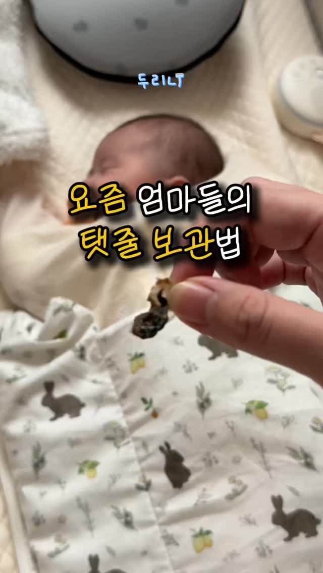 du_ri_nee 게시물 이미지: 우리 아기 소중한 탯줄, 아무 데나 맡기지 마세요! 🙅‍♀️

💌댓글에 ‘콩’...