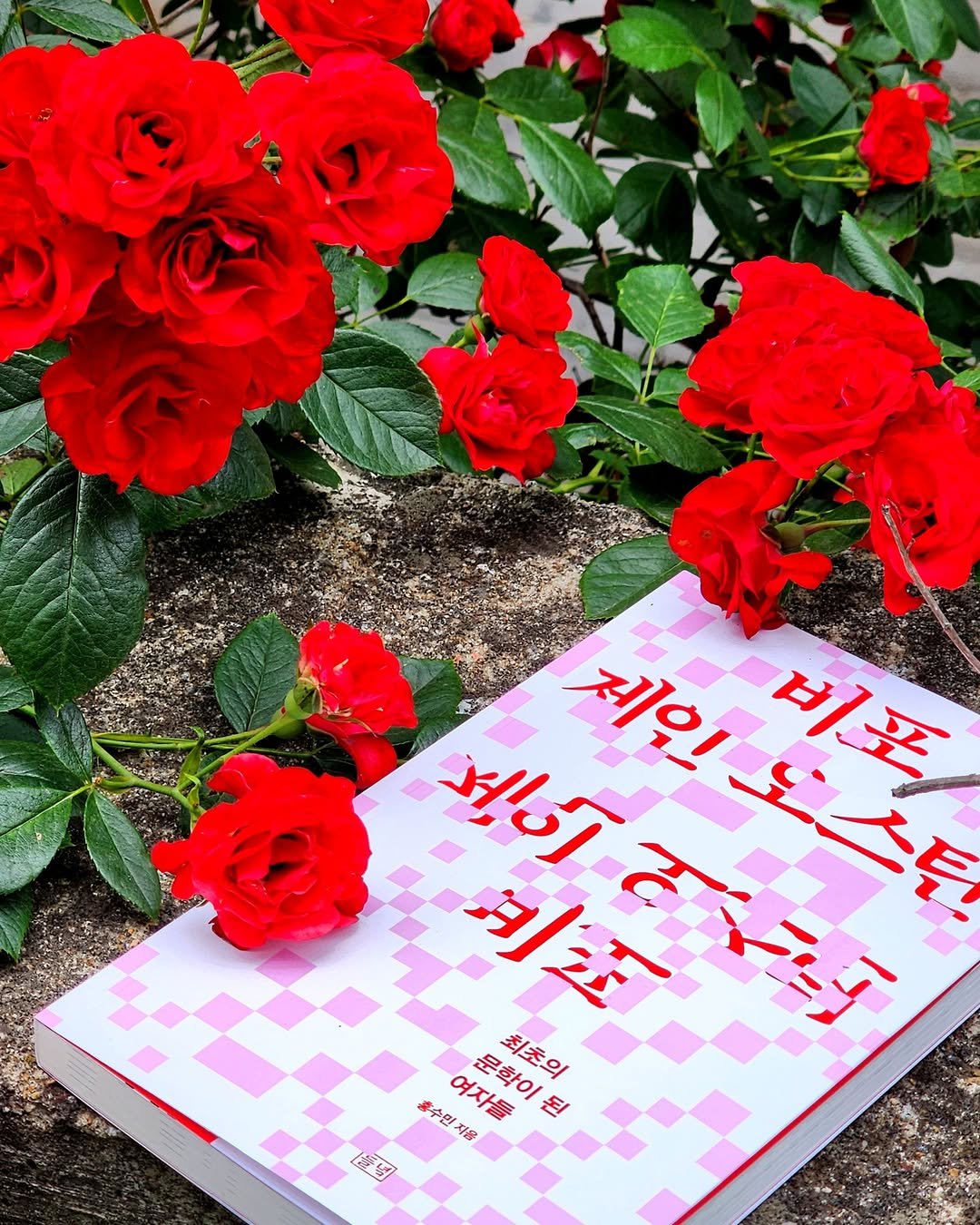 Photo by 도서출판 들녘 on August 07, 2025. May be an image of diary, book, rose and text that says '제인 어수적니 오스틴 비포 别近 운학이 문학이된 최초의 최초의 노이 제인노스튼 여지 수먼지음 여자들 된 지음 博物 LA'.