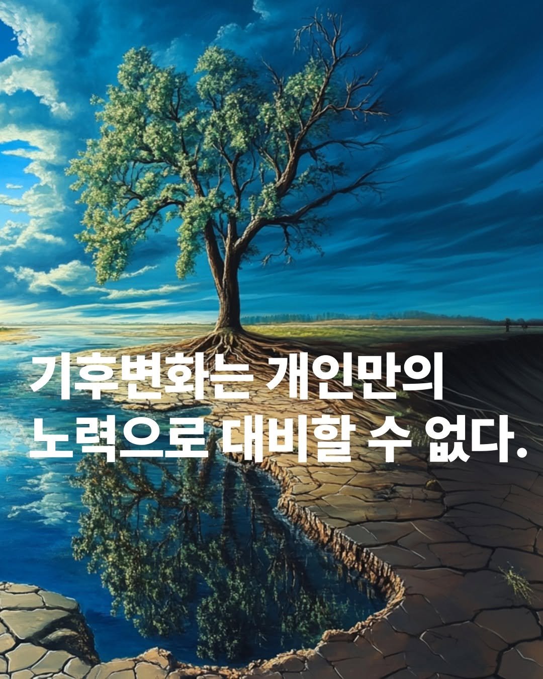 Photo by 도서출판 들녘 on August 14, 2025. May be an image of tree and text that says '기후변화는 개인만의 노력으로 대비할 수 없다.'.