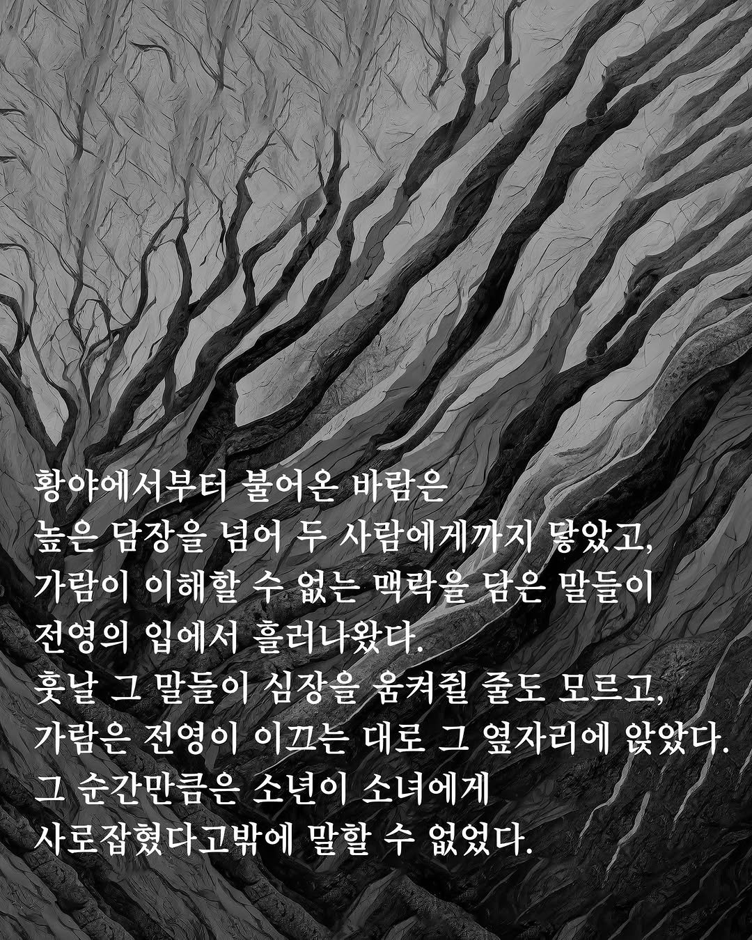 Photo by 도서출판 들녘 on July 30, 2025. May be an illustration of text that says '황야에서부터 서부터 불어온 바람은 높은 담장을 넘어 두 사람에게까지 닿았고, 가람이 이해할 수 없는 맥락을 담은 말들이 전영의 입에서 흘러나왔다. 훗날 그 말들이 심장을 움켜킬 줄도 모르고, 가람은 전영이 이끄는 대로 그 옆자리에 앉았다. 그 순간만큼은 소년이 소녀에게 사로잡혔다고밖에 말할 수 없었다.'.