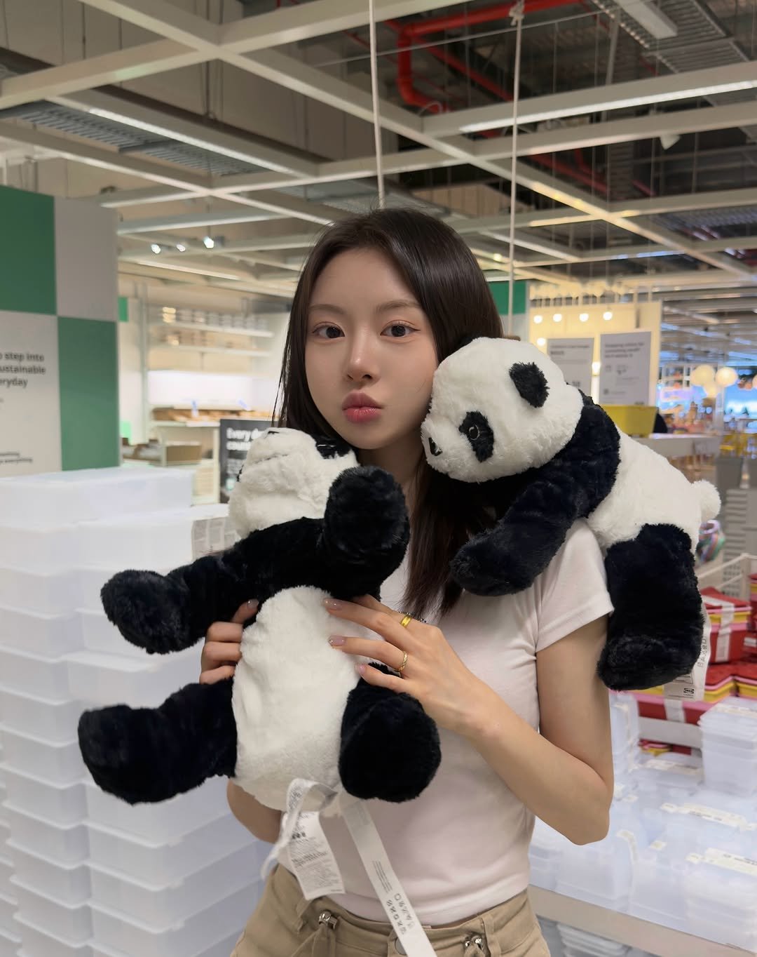 dxhxin 게시물 이미지: 🐼