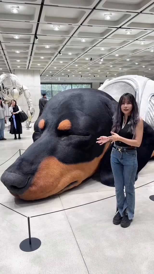 dy0220 게시물 이미지: 超逼真的巨型臘腸狗🐶
耳朵會動,身體的一些部位都會隨呼吸微起伏
太口愛ㄌ!
一至三樓與五樓有很...
