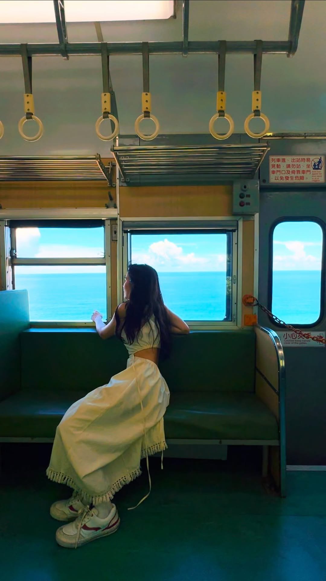 dy0220 게시물 이미지: 有一種藍 叫做台東藍

📍藍皮解憂號 Blue Train of...