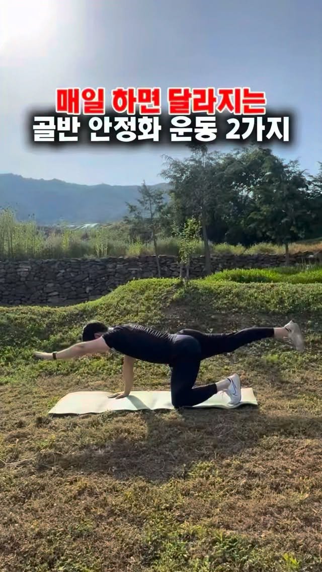 dynamic__force__ 게시물 이미지: 하루 5분 골반 안정화 루틴 
#홈트레이닝 #스트레칭