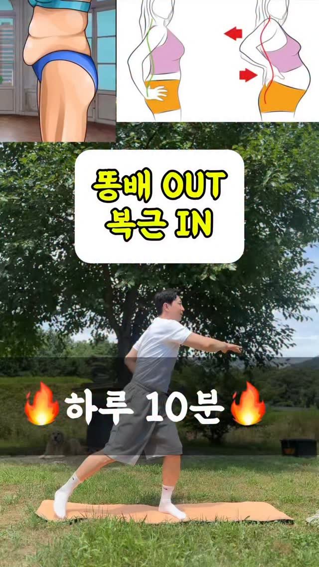 dynamic__force__ 게시물 이미지: 복부지방 이 운동 하나로 종결🌱
-
-
-
✅매일 올라오는 운동 정보 저장하시고...