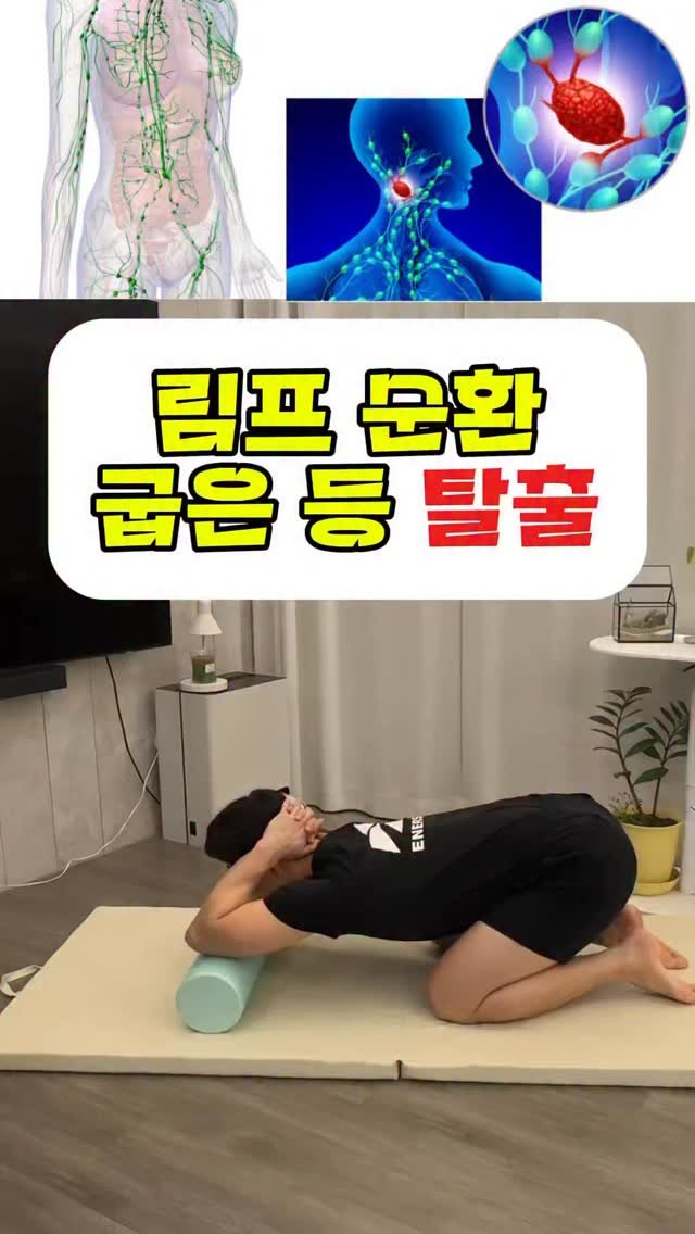 dynamic__force__ 게시물 이미지: 림프 순환만 되도 얼굴과 몸 부종 싹 빠짐🔥
-
-
✅매일 올라오는 운동 정보...