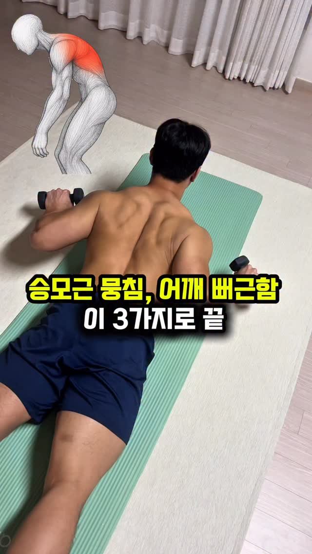 dynamic__force__ 게시물 이미지: 등이 평소 뭉치거나, 어깨가 뻐근하다면 바로 따라하세요🥵
-
-
<운동...