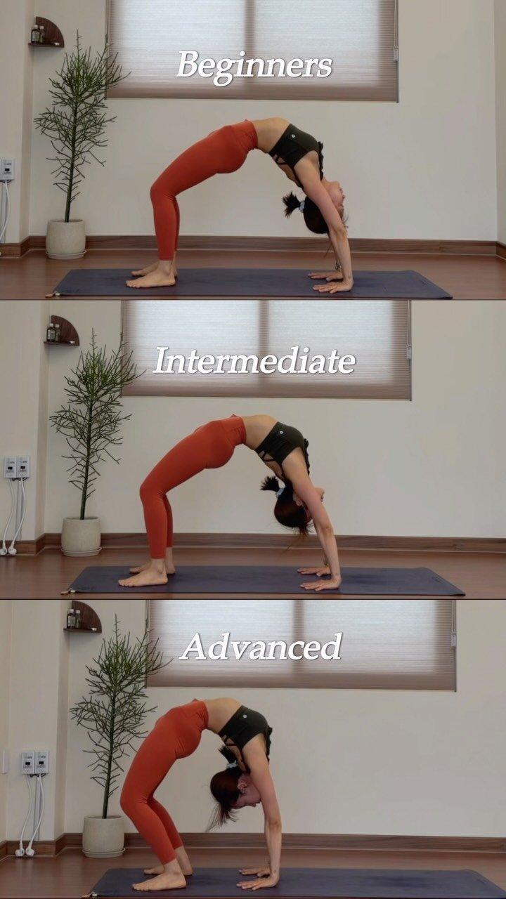 e__tto 게시물 이미지: 3 steps of Urdhva Dhanurasana...