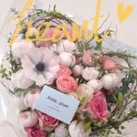 aiolapium_official 프로필 사진