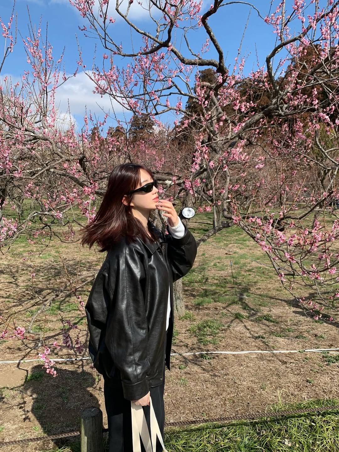 Photo by 이식로그🫧 on February 18, 2026. May be an image of stone-fruit tree and text.