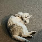 eanakim 인스타그램 프로필 사진