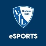 vfl1848esports 프로필 사진