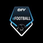 bfvesports 프로필 사진