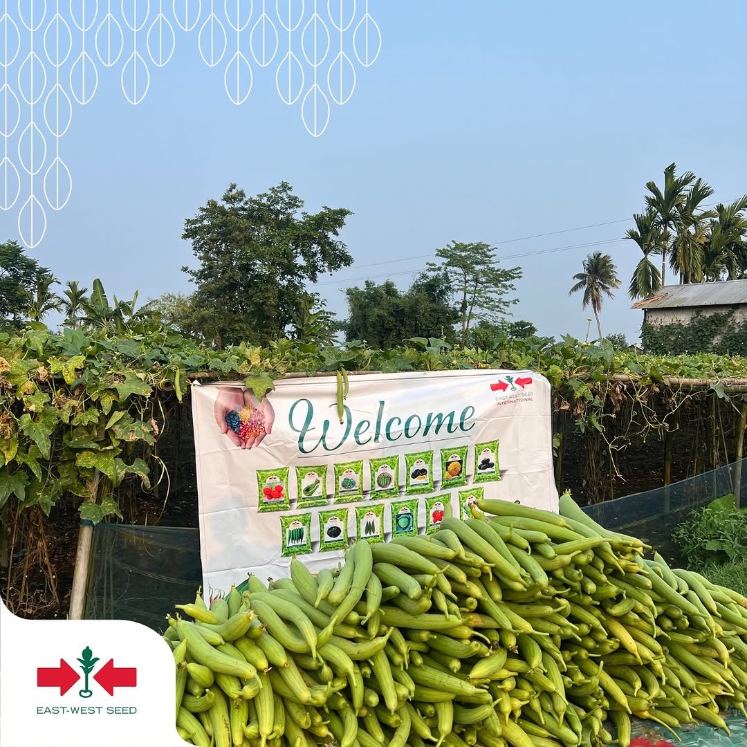 eastwestseedindia 게시물 이미지: More fruits. More yield. More smiles....