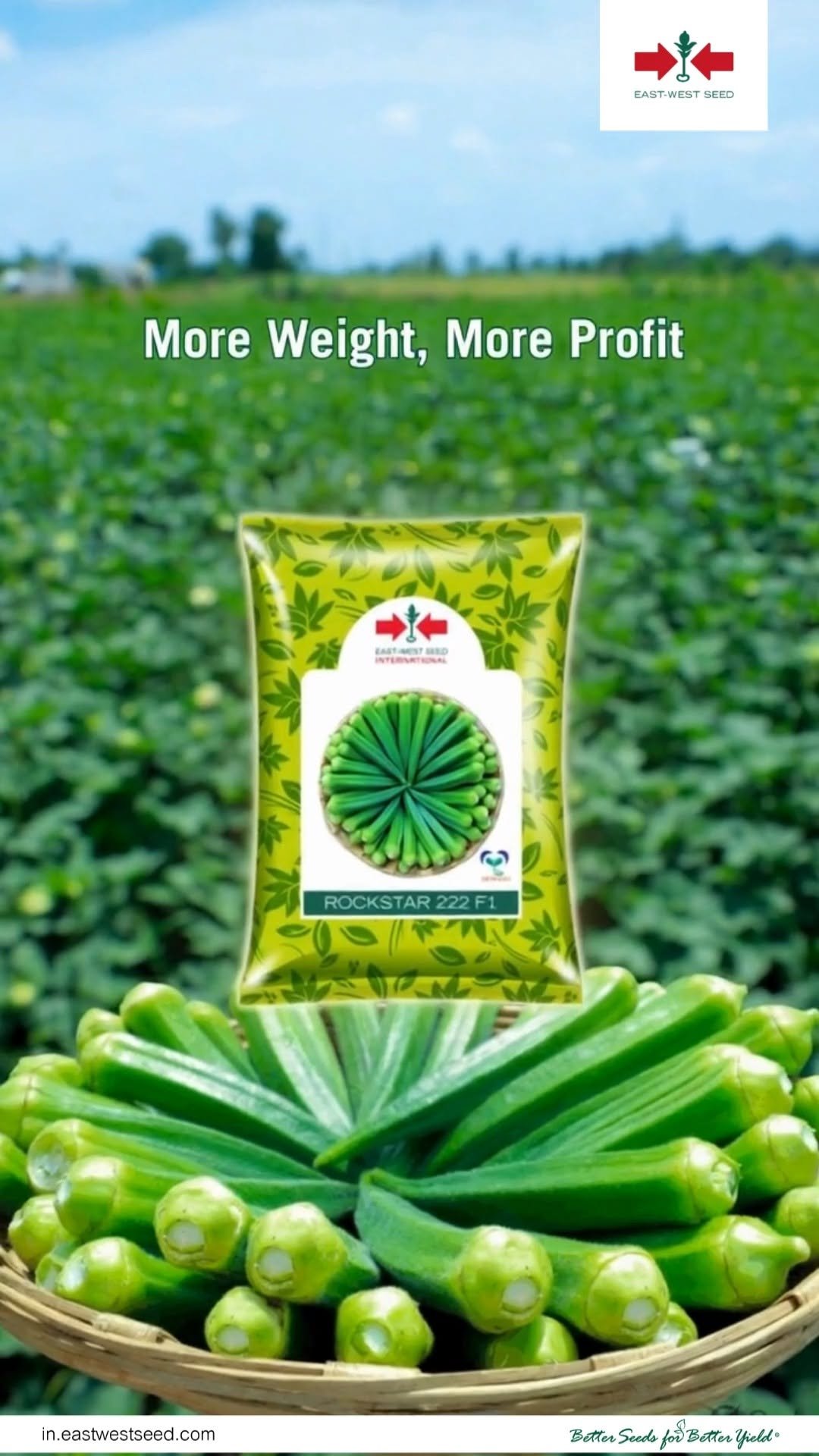 eastwestseedindia 게시물 이미지: Rockstar Okra- Up to 20% Extra Yield...