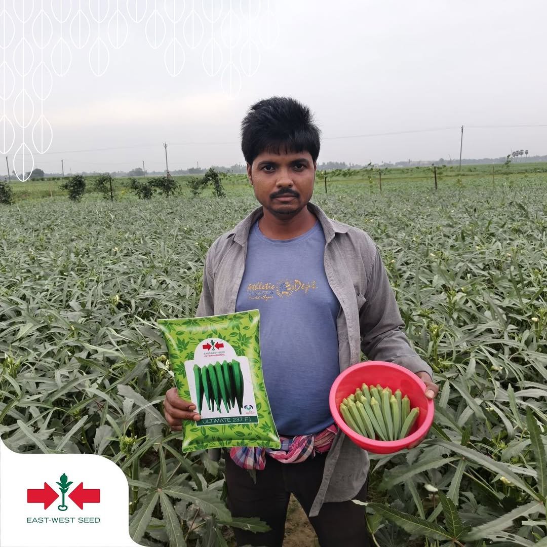 eastwestseedindia 게시물 이미지: From seed to success 🌱✨⁣
⁣
Strong plants,...
