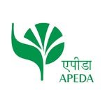 apedamoc 프로필 사진