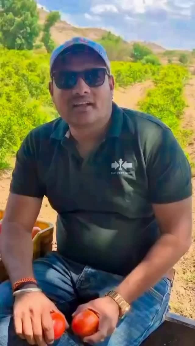 eastwestseedindia 게시물 이미지: 🍅 Crates full of quality, fields full of...
