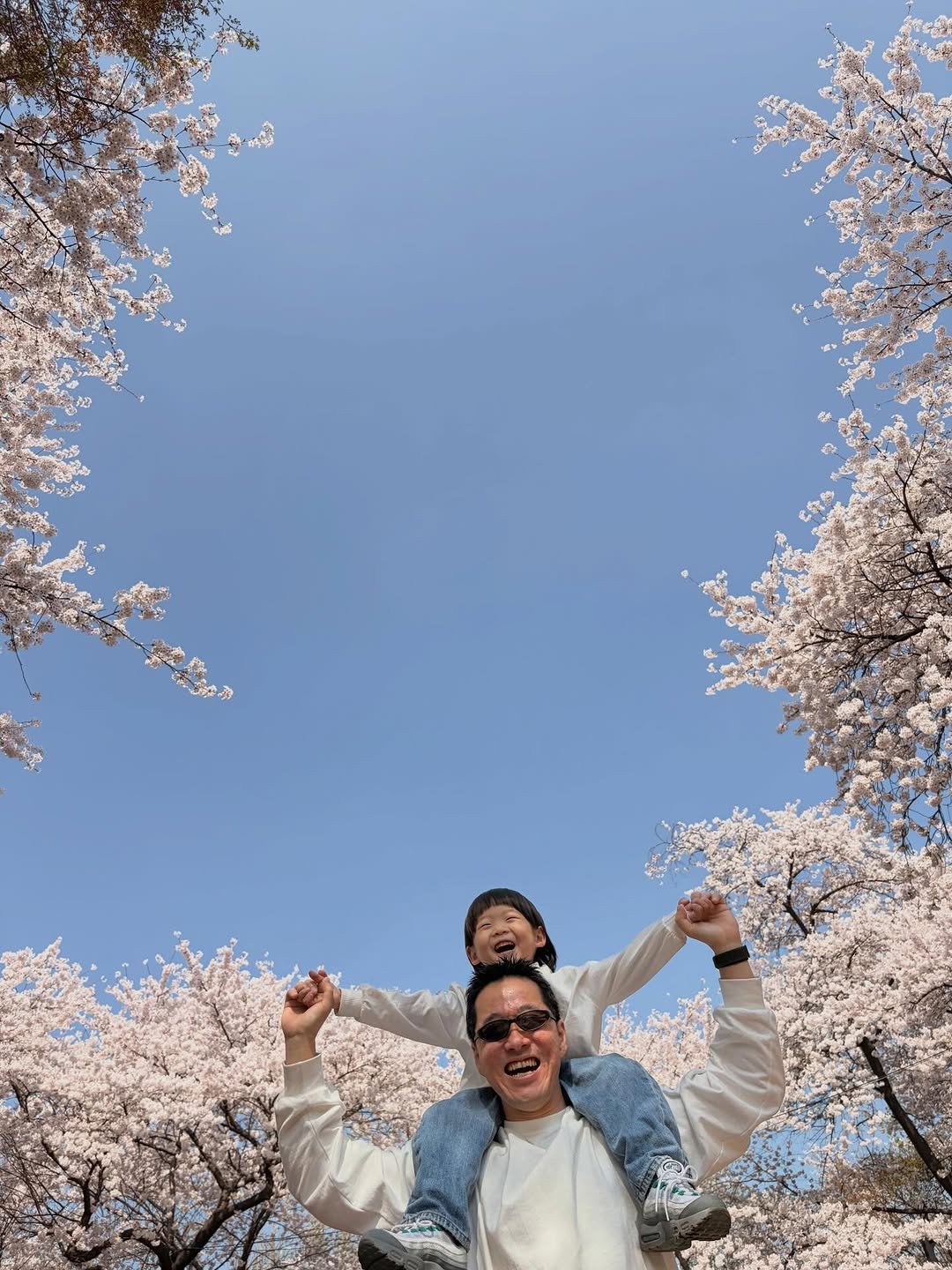 Photo shared by 이지보이 on April 05, 2026 tagging @ohsongmin, and @leejayu. May be an image of stone-fruit tree, outdoors and text.