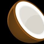 thecoconutmama 프로필 사진