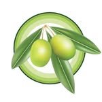 mediterraneanfor.beginner 프로필 사진