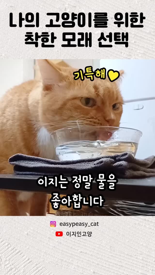 easypeasy_cat 게시물 이미지: #제품제공 #협찬 #코모네왕감자모래

안녕하세요, 이지네입니다! 🩷
이번에 좋은...