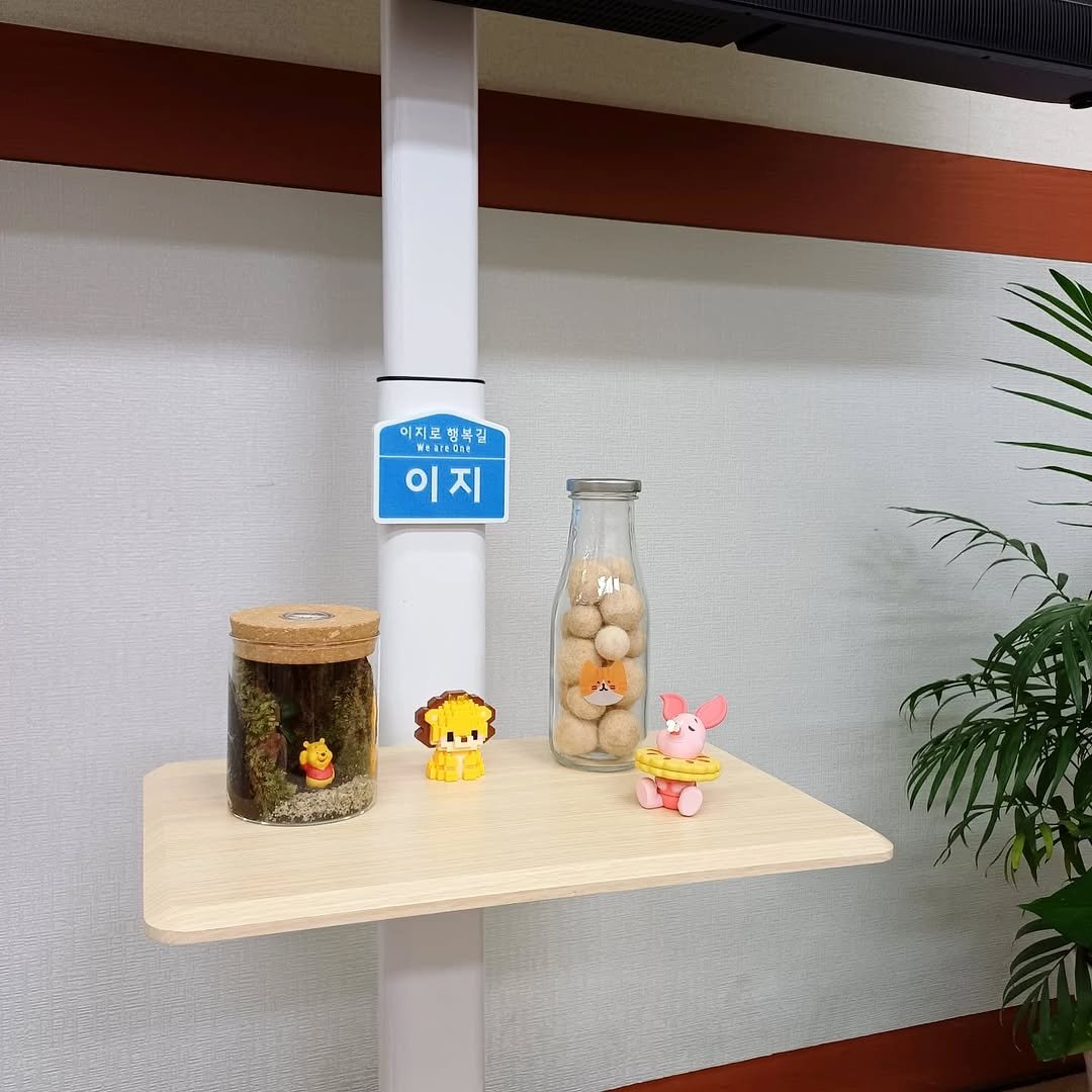 Photo by 이지냥냥 on September 04, 2025. May be an image of sink, toy, bureau, rack, shelf, desk, spice rack, office and text that says '이지모 이저르헹프립 향 복길 VERIPONE 이지 이 지'.